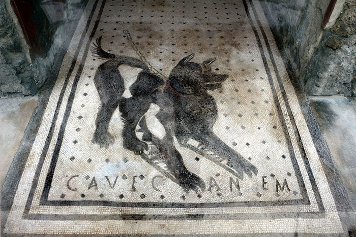  cave canem,     