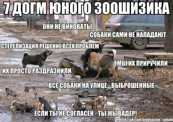 Продолжение поста «Для всех кто спасёт своего питомца вместо чужого ребенка» - Животные, Идиотизм, Мат, Негатив, Волна постов, Ответ на пост