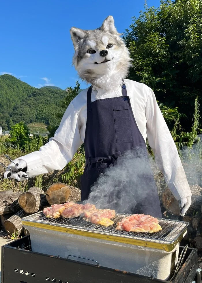 Wolf and food - Furry, Fursjoot, Furry wolf, Furry canine, Food, Kitchen, The photo, Video, Vertical video, Longpost