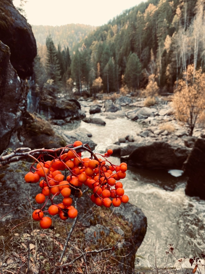 ����������� �������