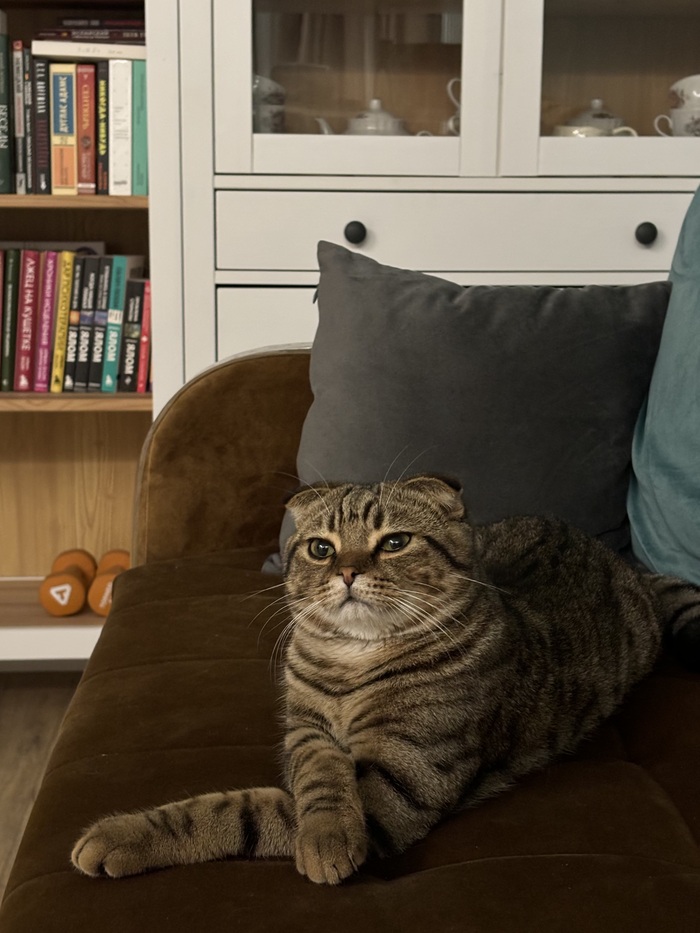 ��� ���������� � �����. ������ ������ �� ������� :)