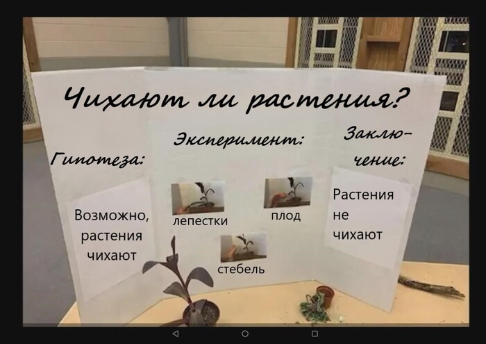 Иногда модульные тесты работают вот так