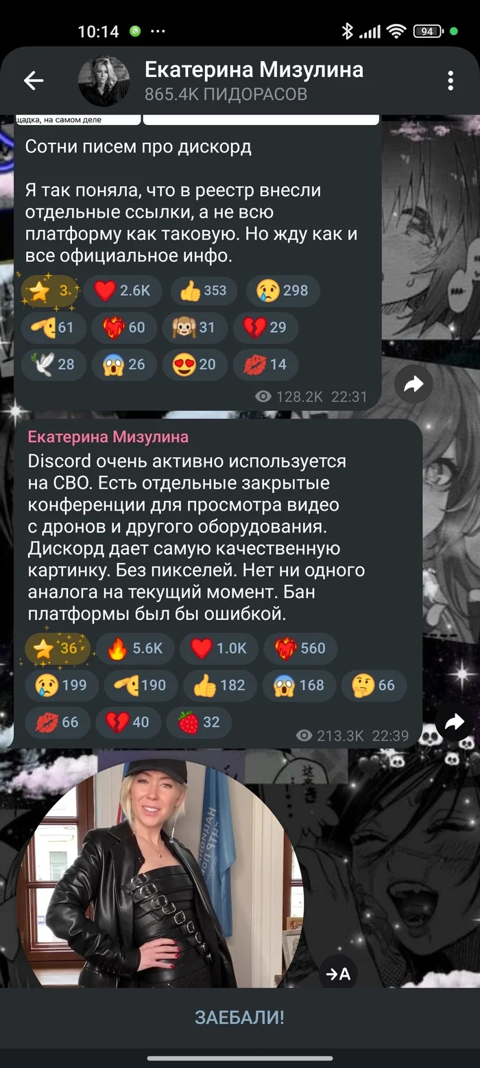 Ответ на пост про блокировку дискорда - Интернет, Блокировка, Discord, Екатерина Мизулина, Длиннопост, Ответ на пост, Мат, Скриншот