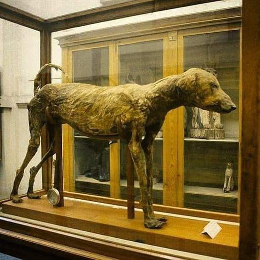 20 Historical Artifacts You Didn't Know About - My, Ancient artifacts, Archeology, Ancient Rome, Museum, History (science), The Roman Empire, Antiquity, Middle Ages, Longpost