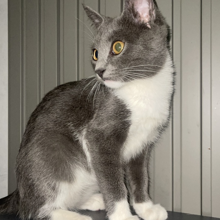 ✨приятно познакомиться БУСЯ✨