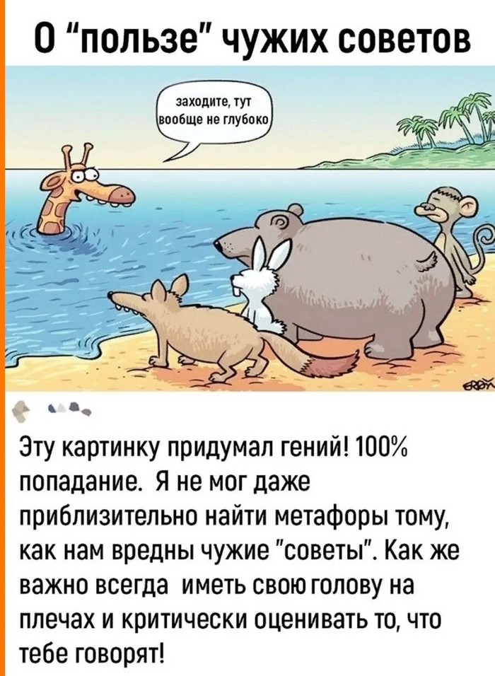      ,   , , , ,   