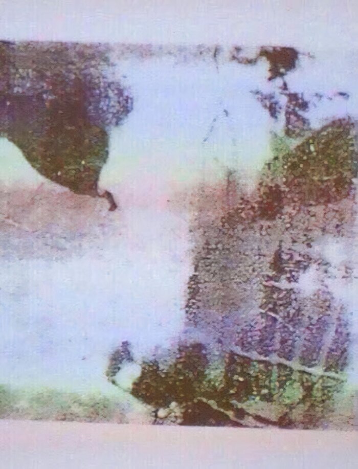 ���� �� ����������