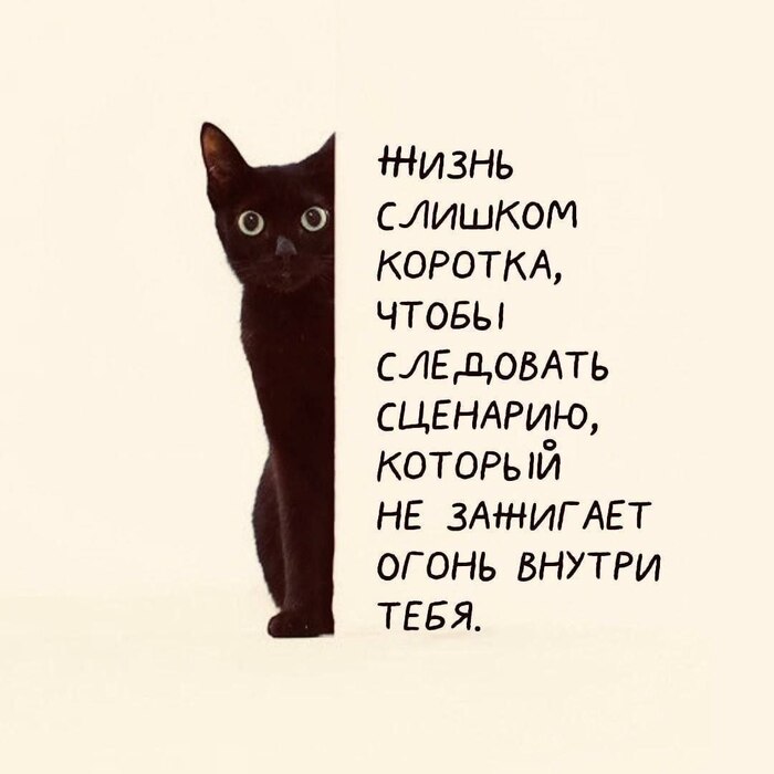   ,    , , , , 