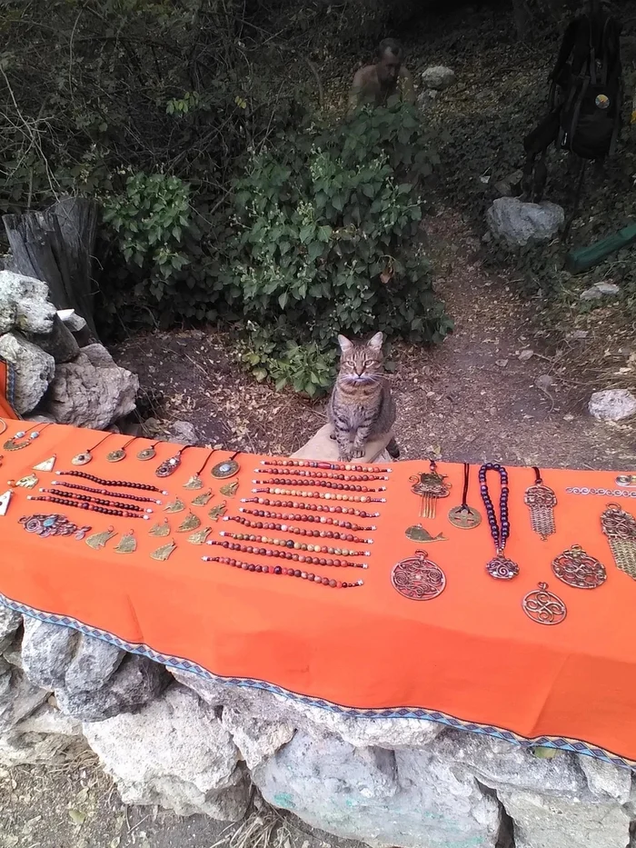 Khajiit has goods if you have coins, friend - cat, Khajiit, Images