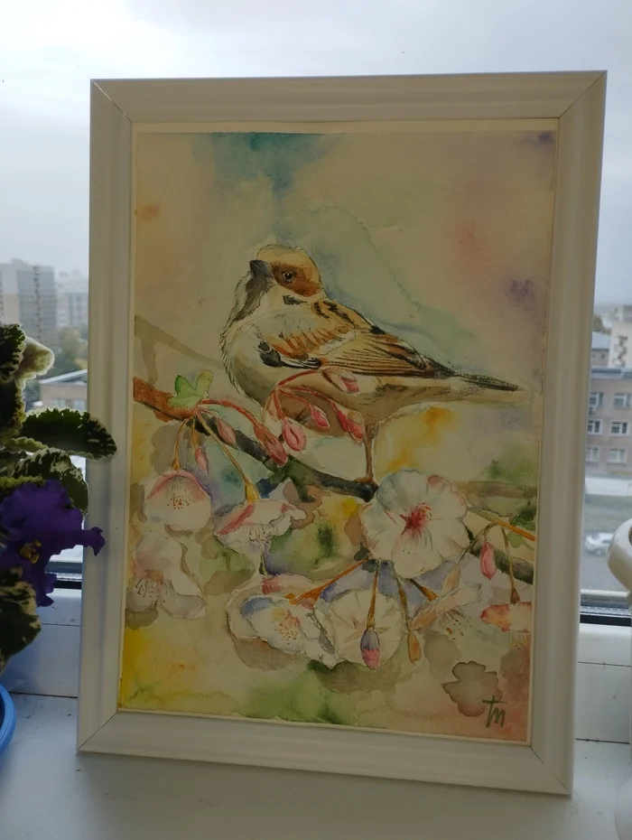 September is Bird Sketch Month - My, Watercolor, Drawing, Sketch, Creation, Longpost