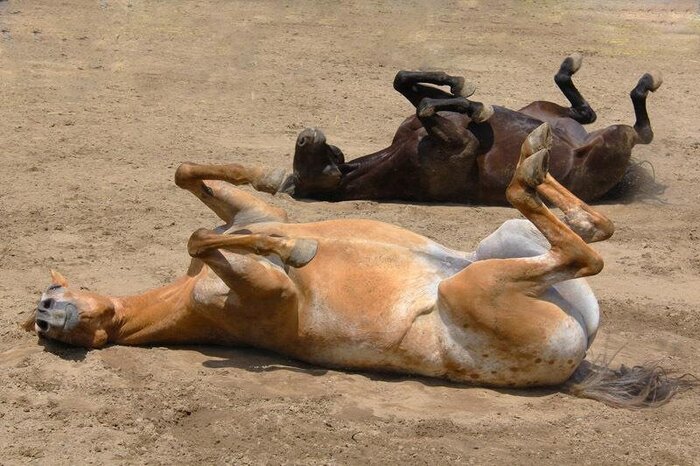 �������� ������!