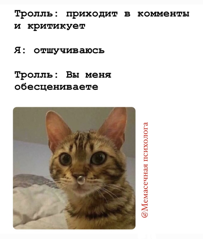 ������ ���� ��������