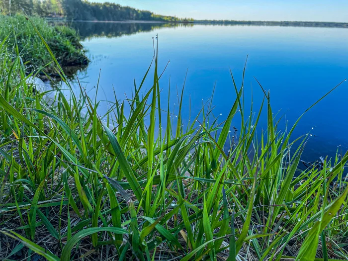 Rosinushka - My, The photo, Nature, Beautiful view