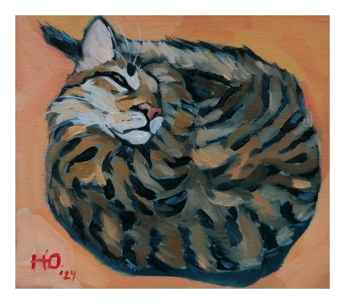 Woke up - My, Painting, cat, Pets, Oil painting, Artist, Etude, Animalistics, Author's painting, Butter, Art, Cat lovers