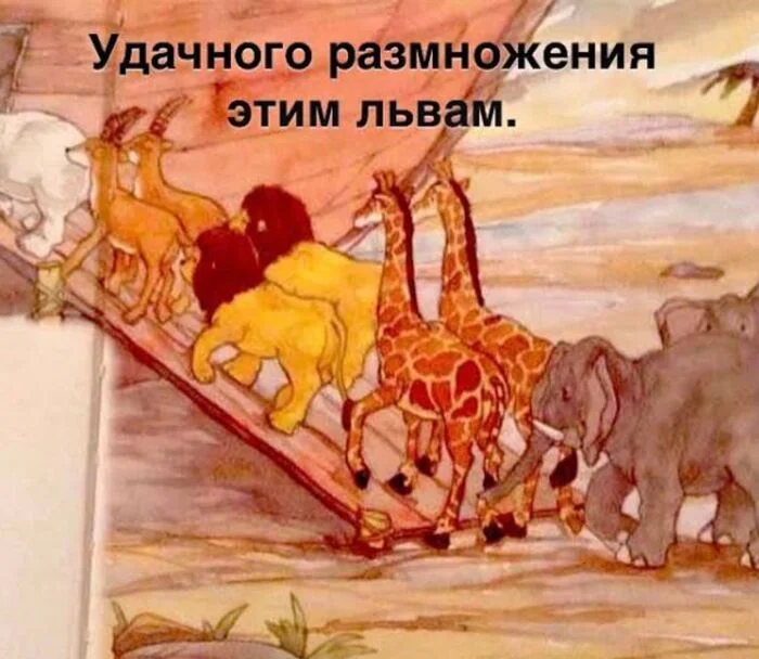 Good luck)))))))))))))) - Humor, Pair, a lion, Not a joke, Noah's ark, Picture with text