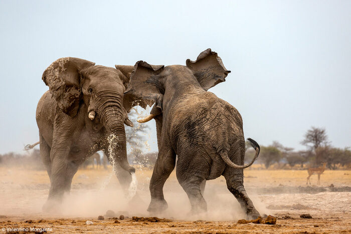 Борьба за воду