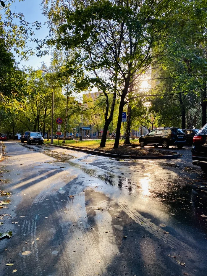 After the rain - My, Asphalt, Autumn, The sun