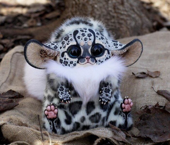 Какой же он красавец