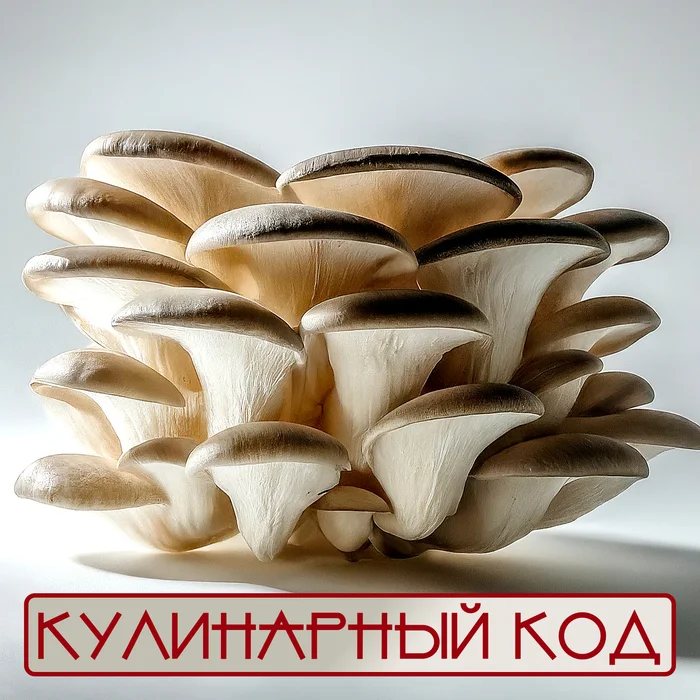 Кулинарный код. Грибы: Вёшенка - Моё, Кулинария, Еда, Питание, Продукты, Грибы, Вешенка, Факты, Знания, Длиннопост