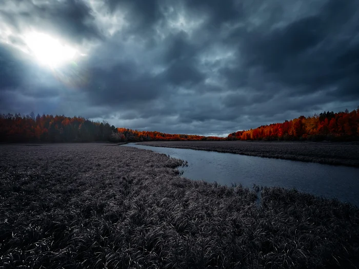 Northern autumn - My, Mobile photography, Longpost, River, Autumn, Contrast