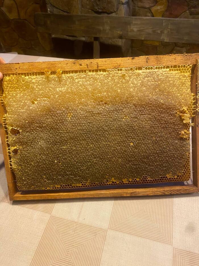 Removing honey frames and forming a bee nest for wintering - My, Bees, Vertical video, Insects, Apiary, Honey, Сельское хозяйство, Video, Longpost