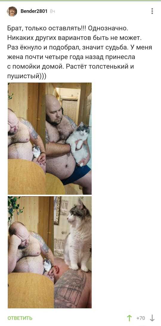    ,   , 
