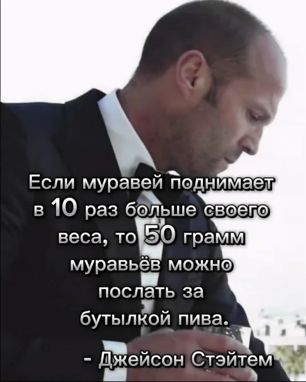 Stehman Quotes - Text, Quotes, Beer, Humor, Jason Statham, Picture with text, Ants