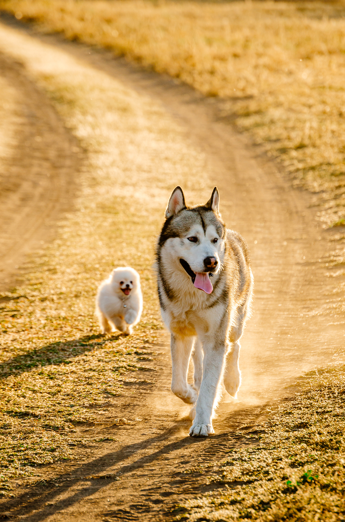 На прогулке