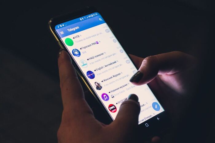 Telegram-������ � ���� �� �������� - ����������