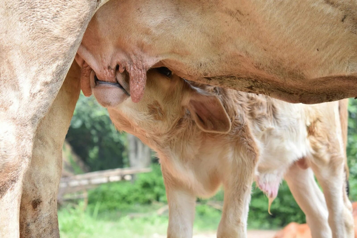   , ,     .   ,   ,  .  ,    ,   .       .