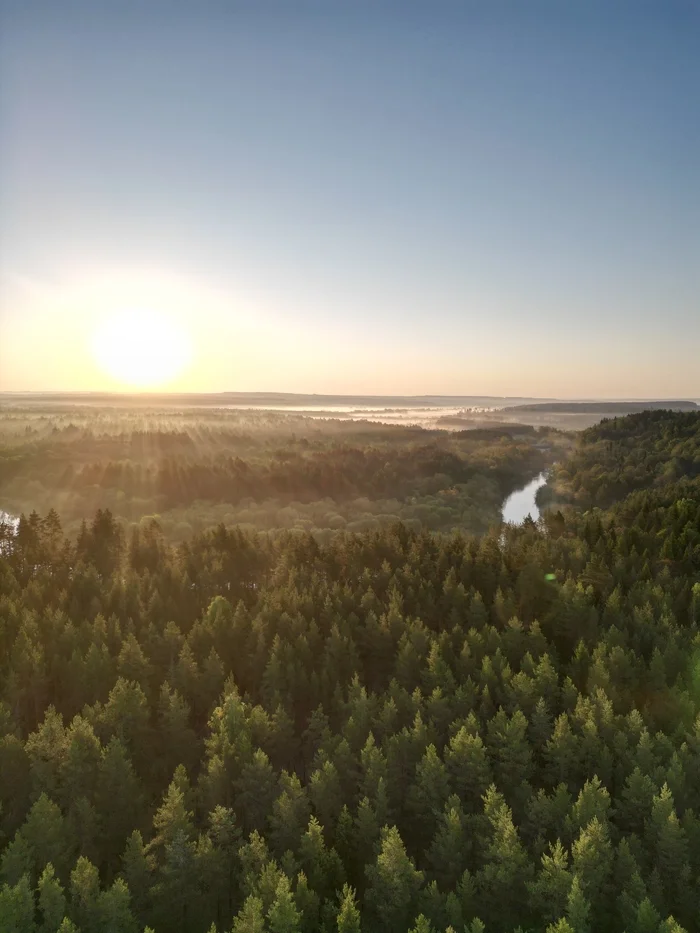 Morning Mariyka - My, Dji, Forest, dawn, Landscape, The photo