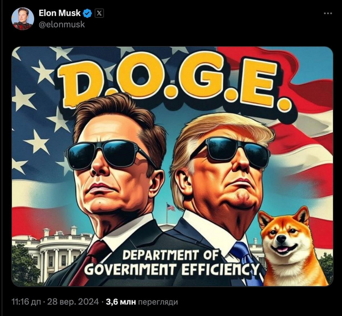         D.O.G.E