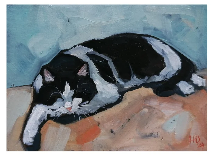 Sleeping cat - My, cat, Painting, Pets, Oil painting, Artist, Fat cats, Animalistics, Butter, Author's painting, Art, Etude