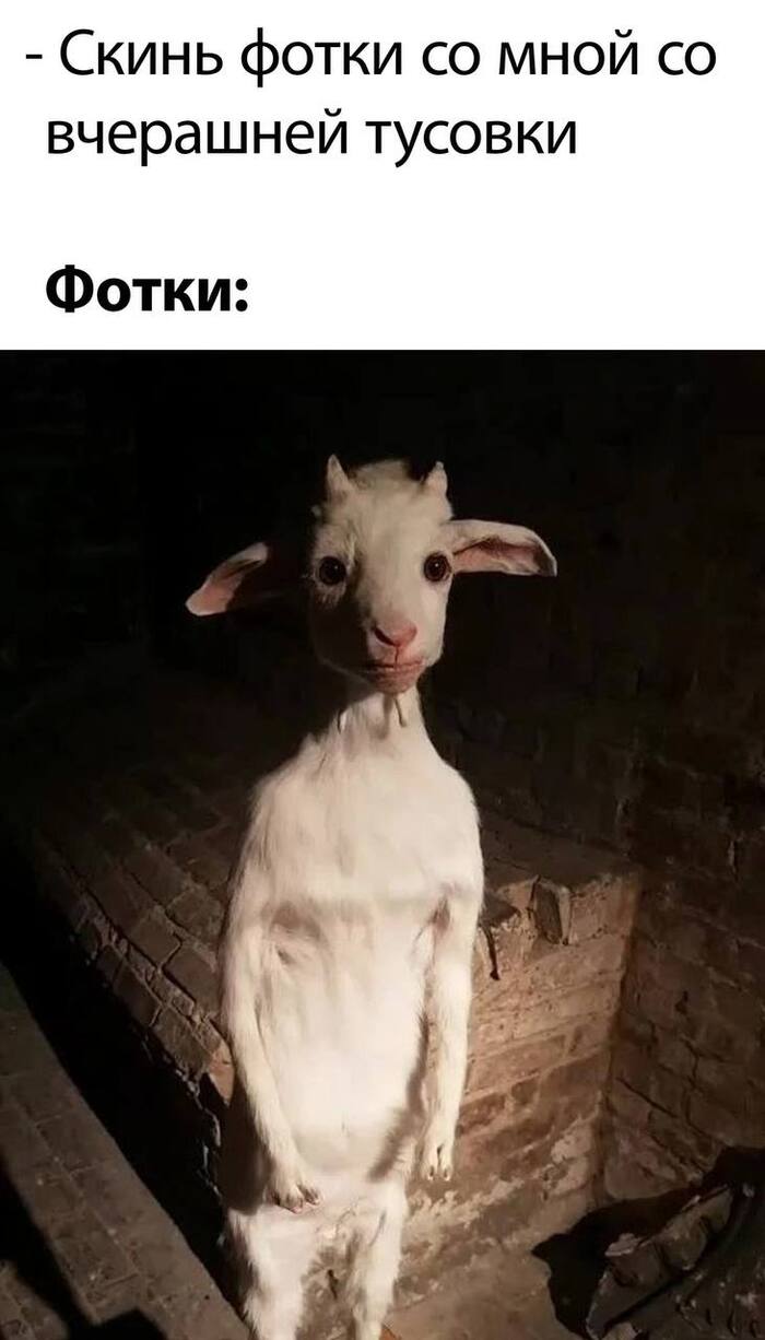   , , 