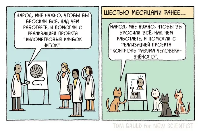 Мяу! - Комиксы, Tom gauld, Кот, Ученые, Перевел сам, Исследования, Telegram (ссылка)