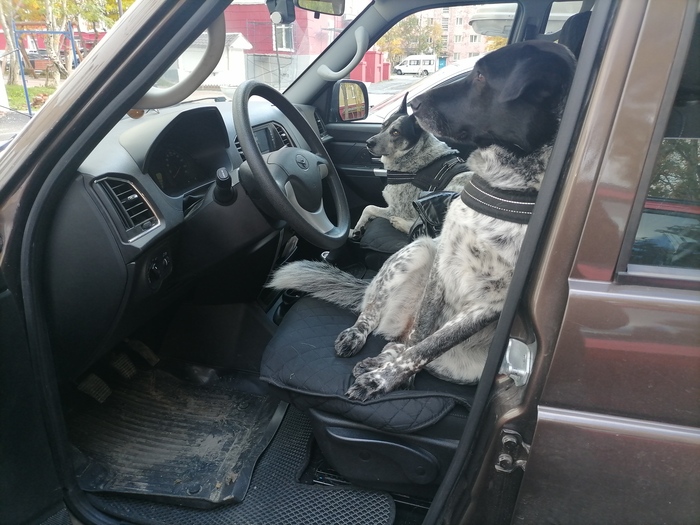 Коротко об инновациях...