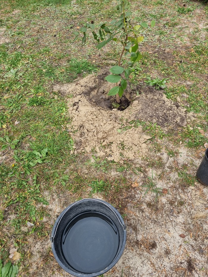   ,    ,  , , , , , , , 