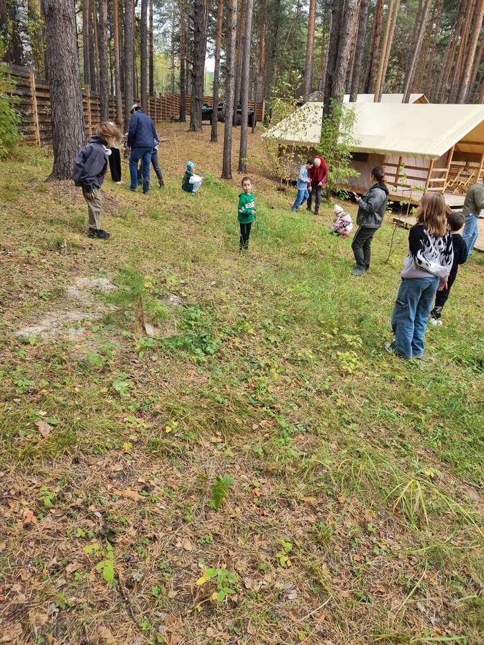 Воскресная посадка кедров, желудей и орехов Тюмень, Тюменская область, Лес, Орехи, Кедр, Желудь, Саженцы, Мероприятие, Длиннопост