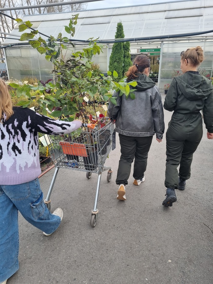Воскресная посадка кедров, желудей и орехов Тюмень, Тюменская область, Лес, Орехи, Кедр, Желудь, Саженцы, Мероприятие, Длиннопост