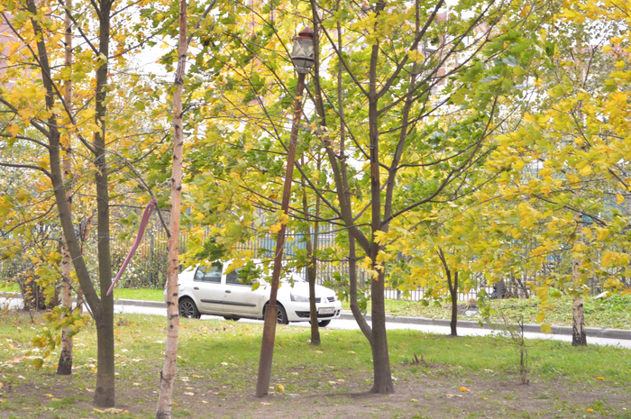 ����� ������� ������