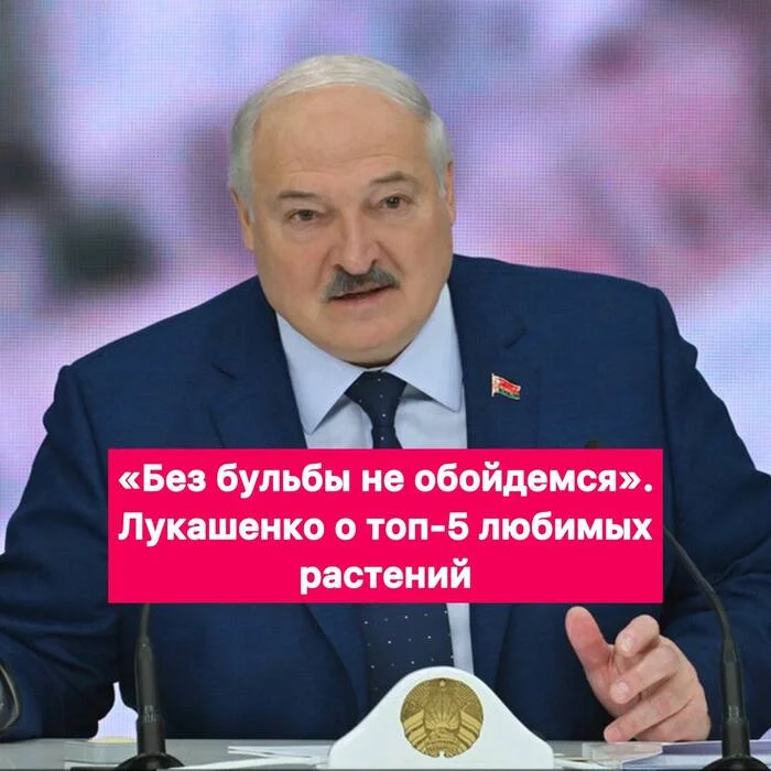 «Без бульбы не обойдемся» - Новости, Политика, Урожай, Республика Беларусь, Президент, Александр Лукашенко, Длиннопост