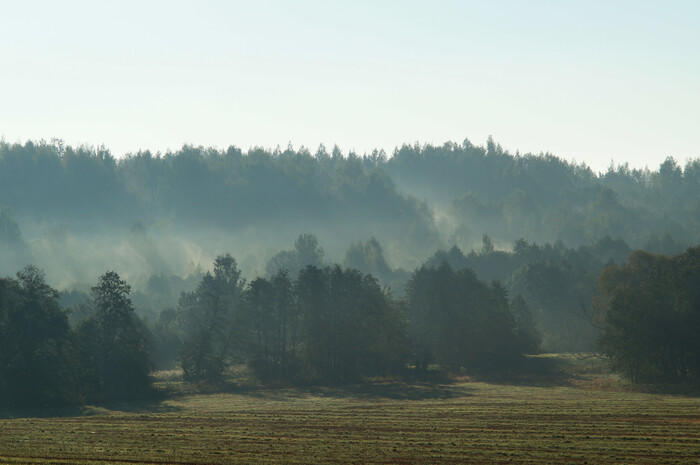 Sony A37 + Minolta 70-210