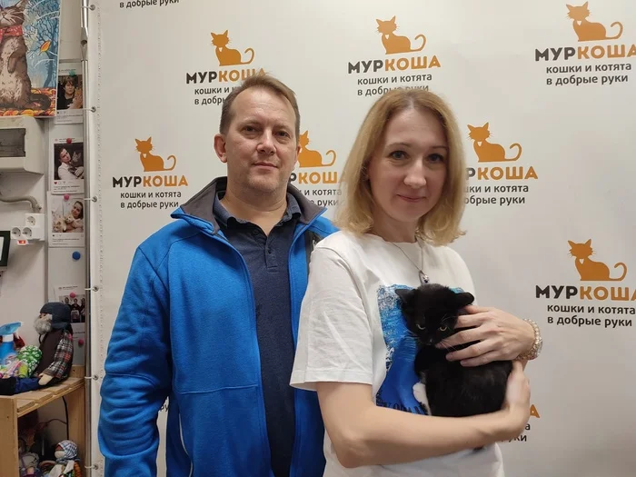 We are glad to share our successes with you. - My, Animal shelter, Murkosh shelter, No rating, Positive, cat, Touching, Found a home, Video VK, Vertical video, Video, Longpost