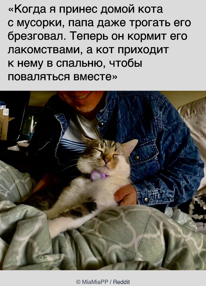   -   , ADME