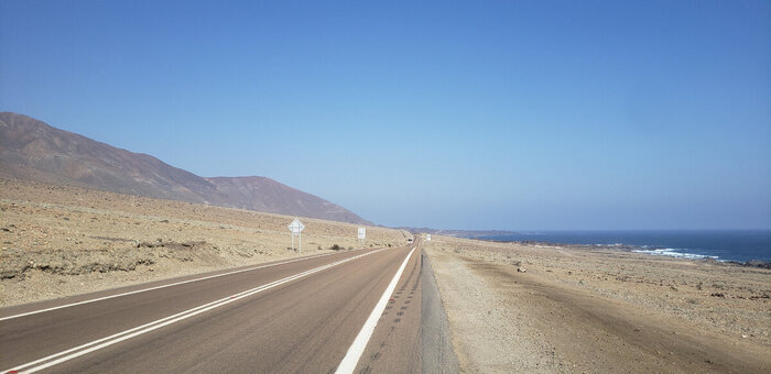 Вот такая красота рядом с домом Карлоса