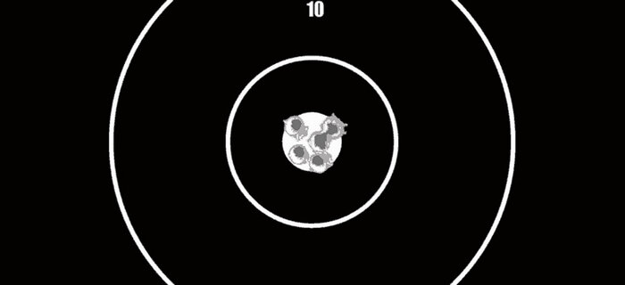 Sauer 101 Silence GTI       ,    .       ( .308 Win.,  100 )