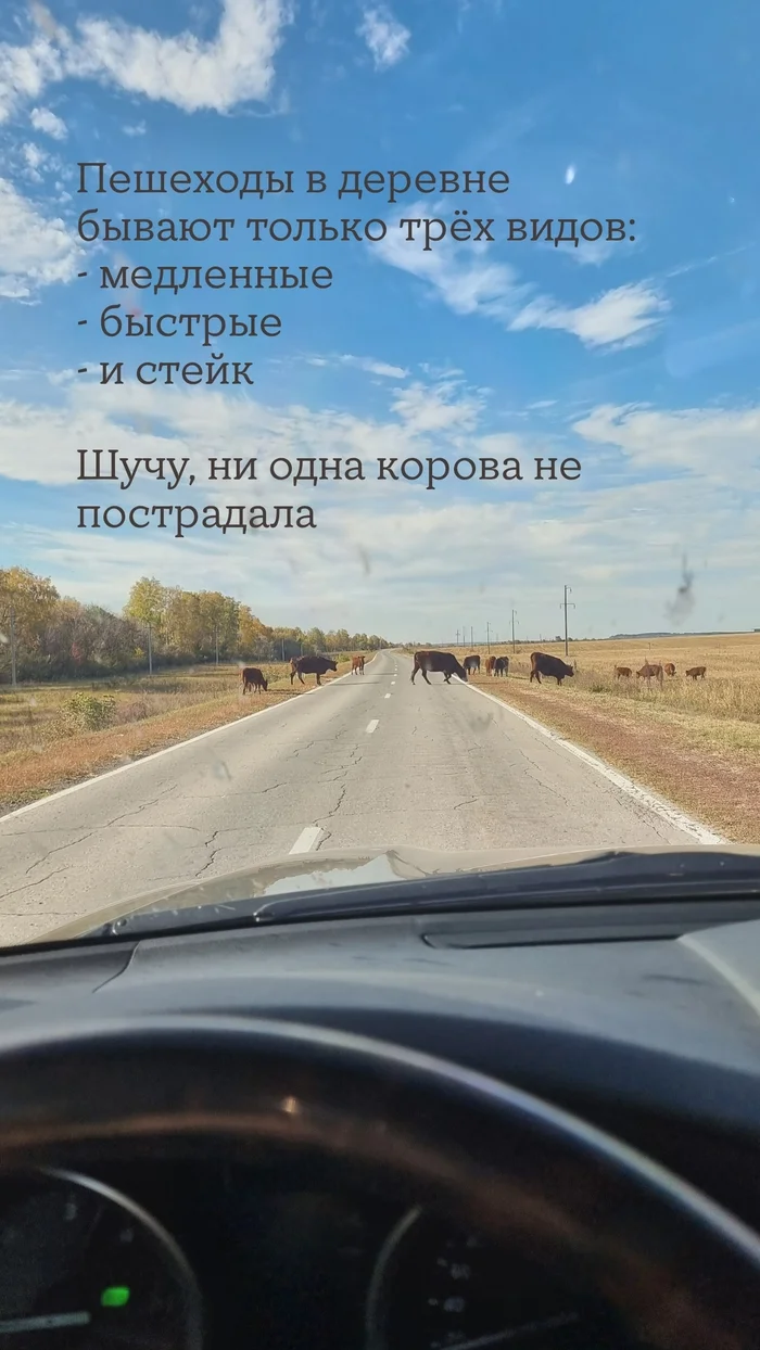 Pedestrians come in different types - My, Cow, A pedestrian, Village, Road