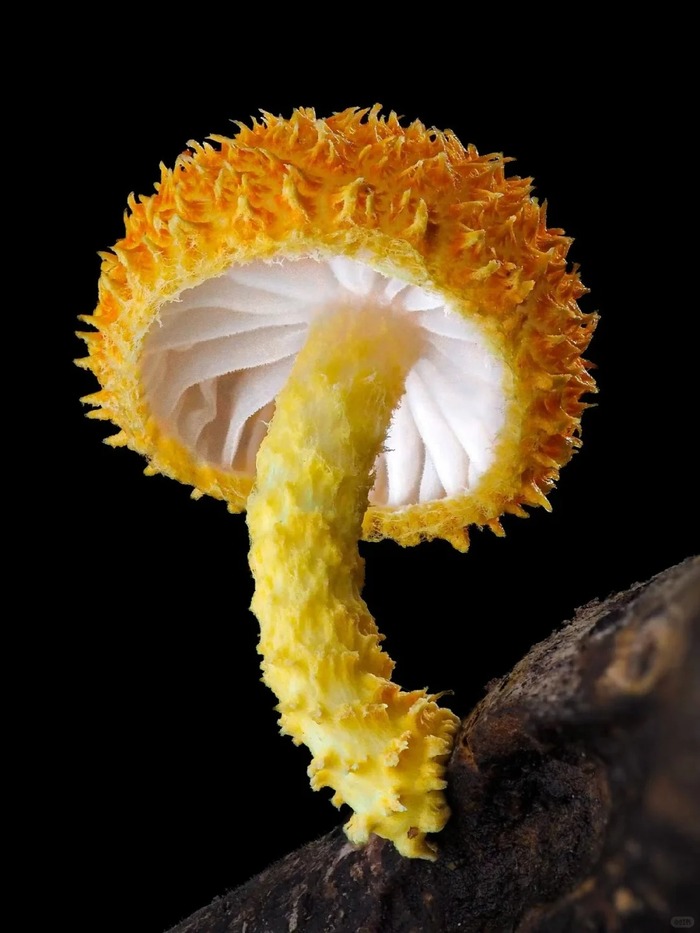    @    , , 