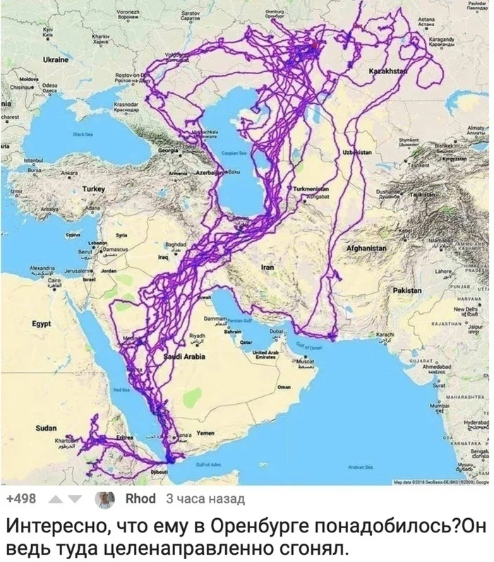 Оренбургский пуховый платок? - Орел, Миграция, Познавательно, Оренбург, GPS трекер, Комментарии, Повтор, Комментарии на Пикабу, Скриншот, Карты, Фейк