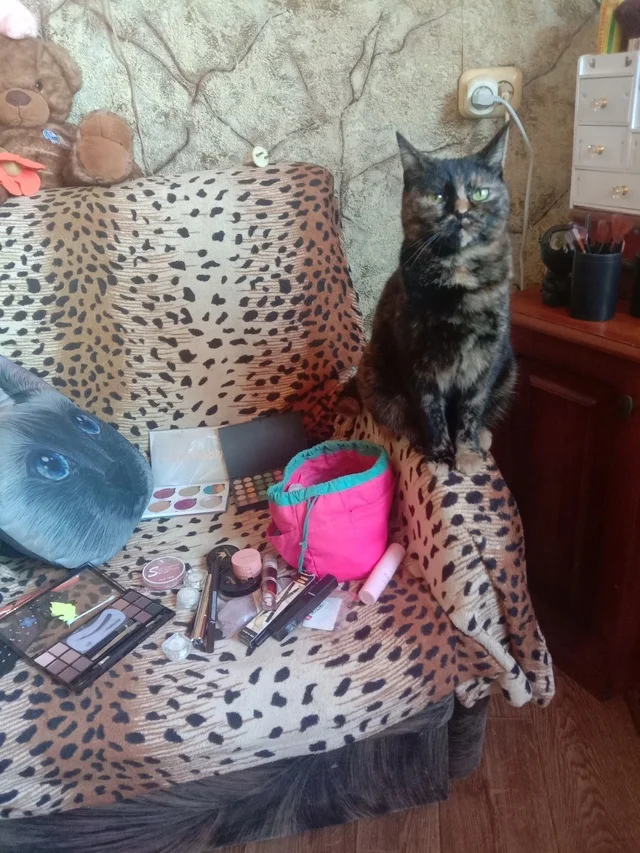 Meet professional makeup artist Margosha! - cat, Visagiste, Fluffy, Pet the cat